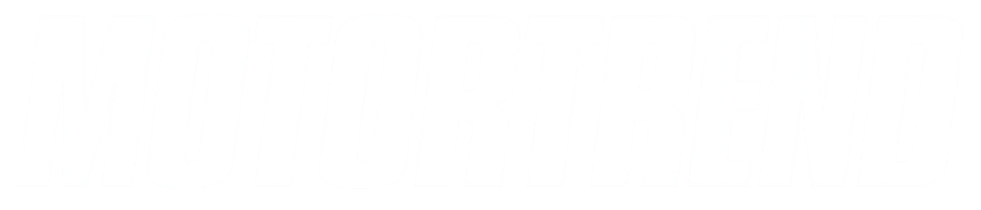 Revista 1